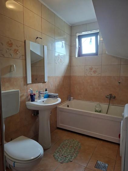 Berceni,Casa individuala, teren 479mp - 9