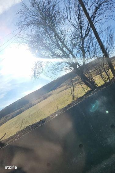 Teren intravilan, 5100 mp, toate utilitatile trase la parcela, Mera - 1