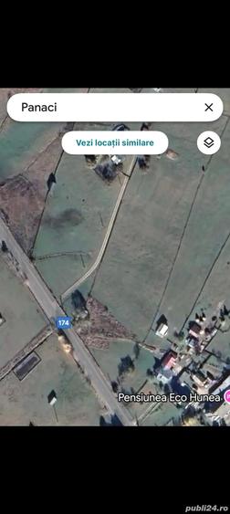 Teren de 4949 mp, în Panaci