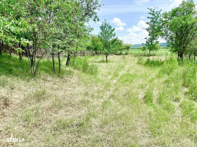 Casă cu 2 camere cu Teren 1384 Mp în Alma