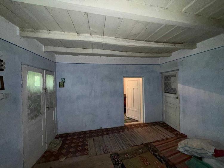 Casa si teren in satul Babusa, comuna Bacesti, judetul Vaslui - 3