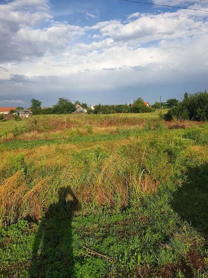 Teren de 1055 mp, în Cenad