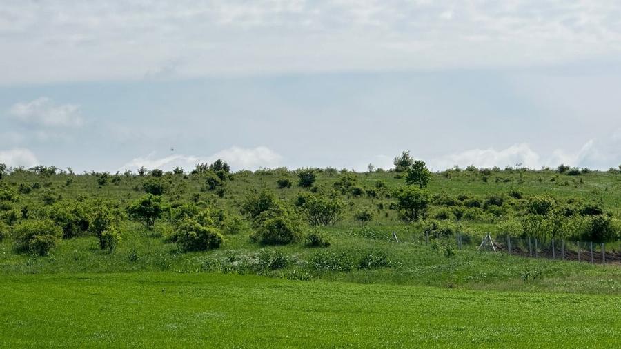 Teren agricol extravilan de 4820 mp, în Episcopia Bihorului