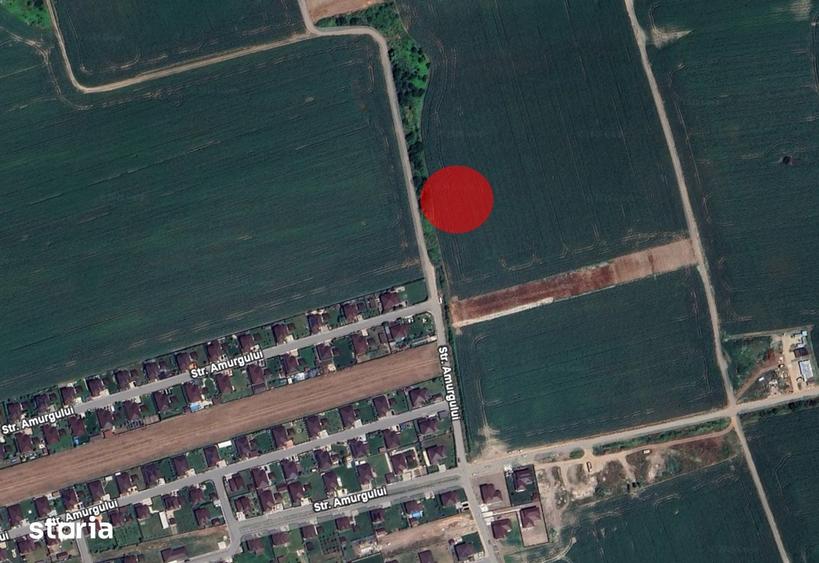 Teren intravilan Balotesti 10.000mp - 1