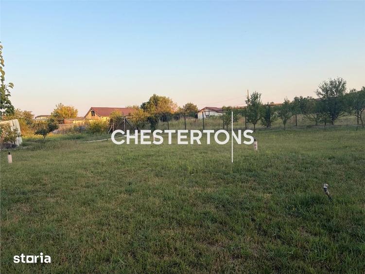 Casă cu Teren 6000 Mp în Vădeni
