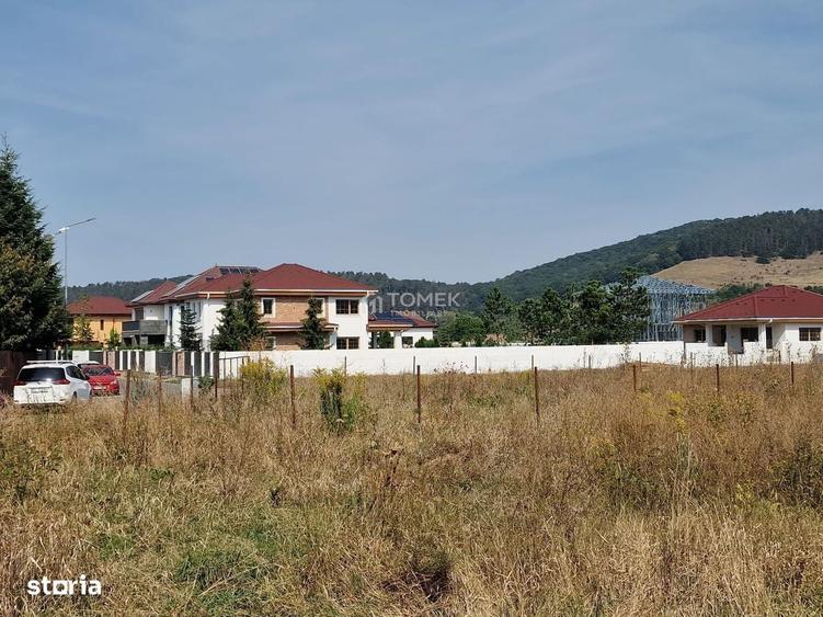 Spațiu comercial, în Sânpetru