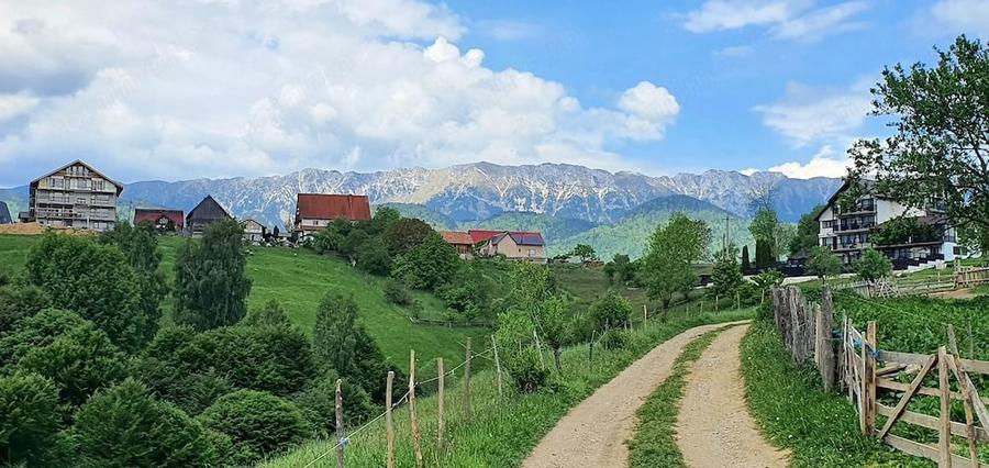 Teren de 2500 mp, în Peștera