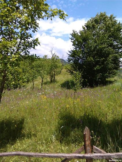Teren de 3600 mp, în Aluniș