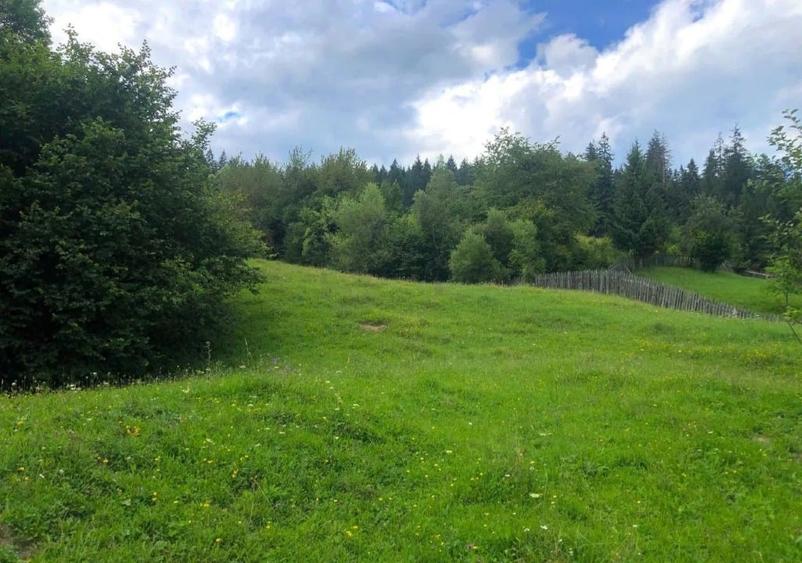 Teren intravilan de 6100 mp, în Central