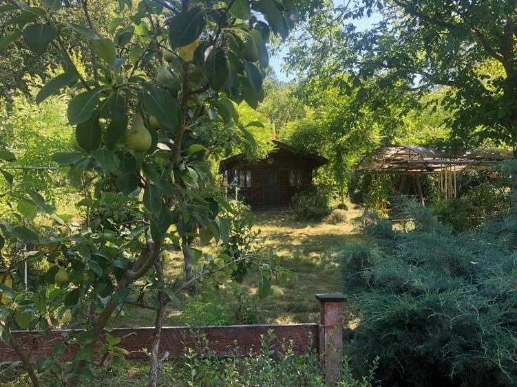 Casă cu 3 camere în Bâlteni