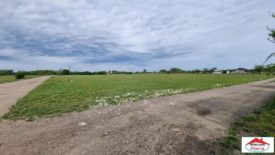 Teren de 5000 mp, în Careiului