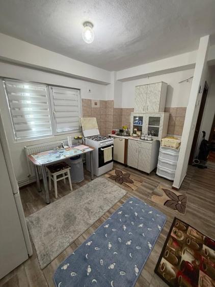 Apartament 2 camere, 43,70 mp, Calea Severinului - 2