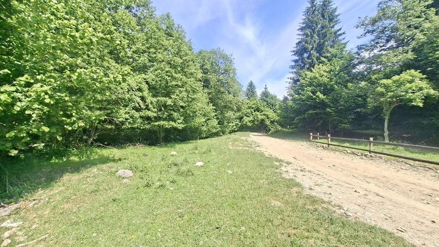Teren Construcții extravilan de 126000 mp, în Glăjărie