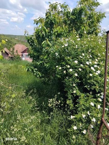 Casă cu 1 camere cu Teren 59 Mp în Mărăști