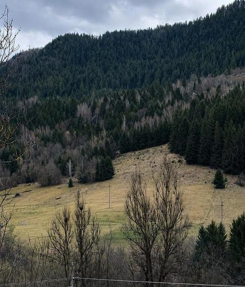 Teren de 6250 mp, în Vidra