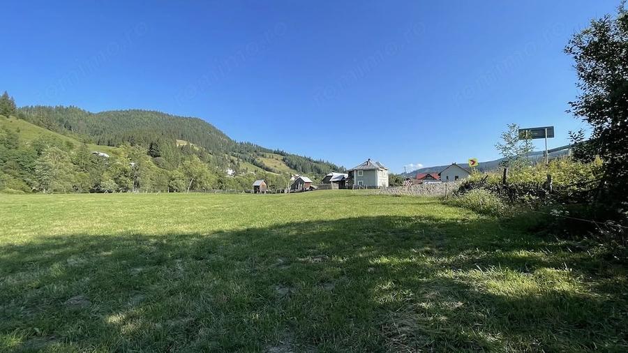 Teren de 5500 mp, în Ciocănești