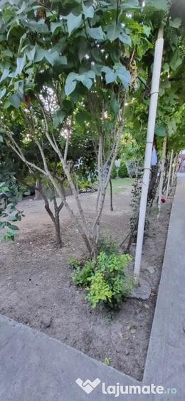 Casă cu 4 camere în Chercea