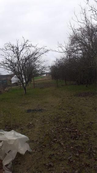 Casă cu 4 camere în Balotești