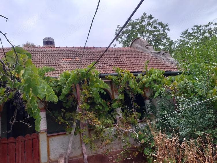 Casă cu 3 camere cu Teren 3070 Mp în Sacoșu Turcesc