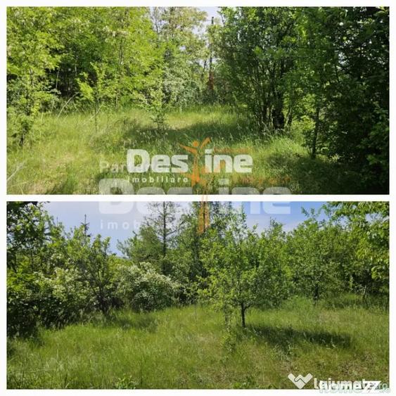 Teren de 3523 mp, în Tomești