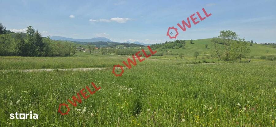 Teren de 3267 mp, în Barcani