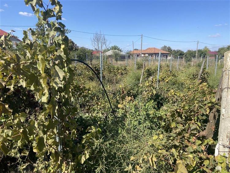Casă individuală cu 3 camere cu Canalizare în Hângulești