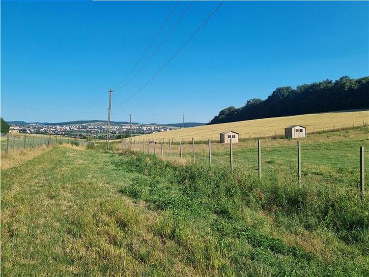 Teren intravilan de 31000 mp, în Sâncraiu de Mureș