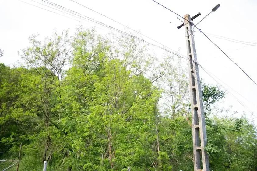 Teren intravilan de 5500 mp, în Provița de Sus