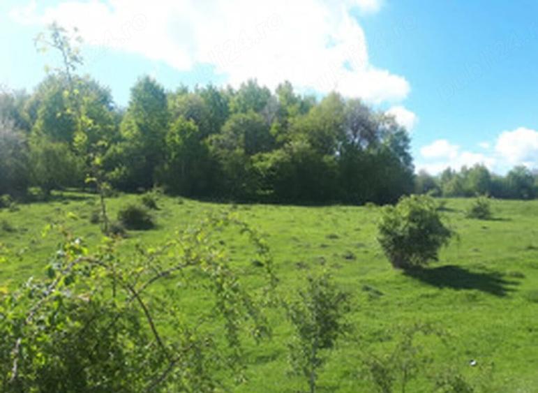 Teren de 2946 mp, în Valea Rumâneștilor