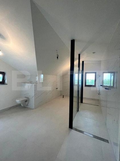 Casă individuală, P+1+M,  teren 6000 mp - zona Spătărești - 5