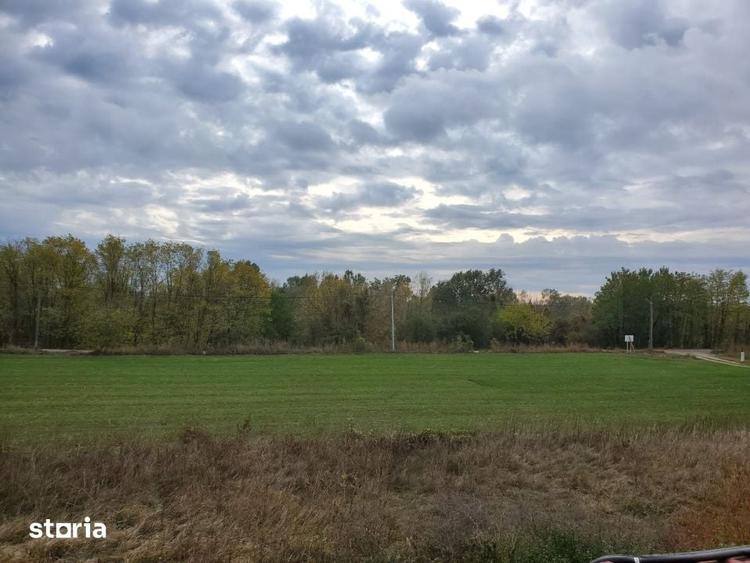 Teren de 1096 mp, în Ciolpani