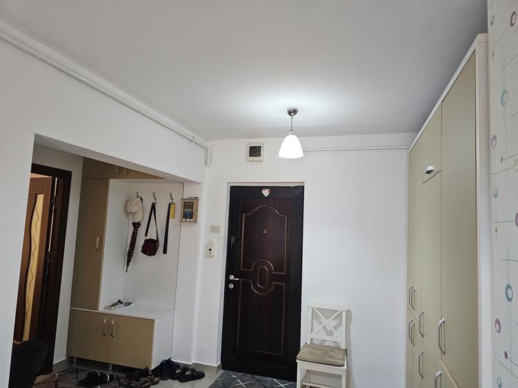 Apartament cu 2 camere decomandat în Malul Mureșului