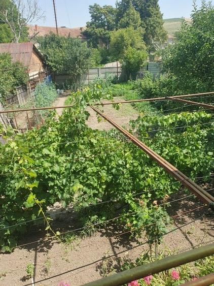 Casă individuală cu 3 camere cu Teren 433 Mp în Central