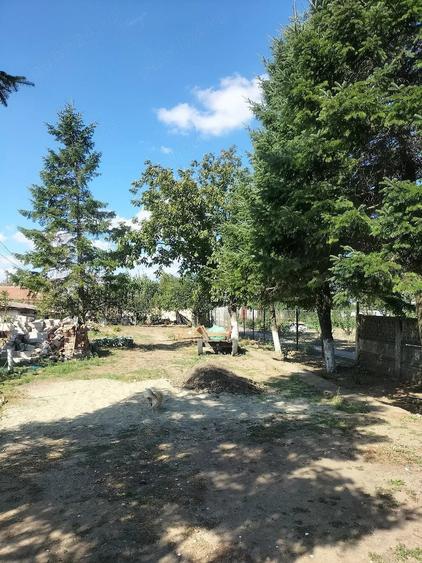 Casă cu 3 camere cu Teren 1900 Mp în Balaciu