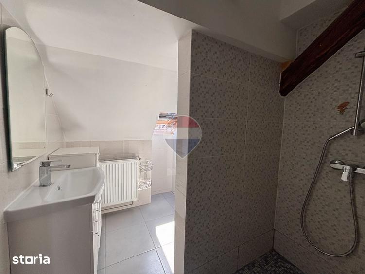 Proprietate mixta (Locuin?a + Sediu/Cabinet) Lazaret, teren 373 mp - 12