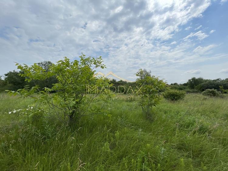 Teren Construcții intravilan de 1439 mp, în Crețești