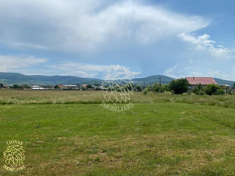 Teren agricol extravilan de 7200 mp, în Șieu-Măgheruș