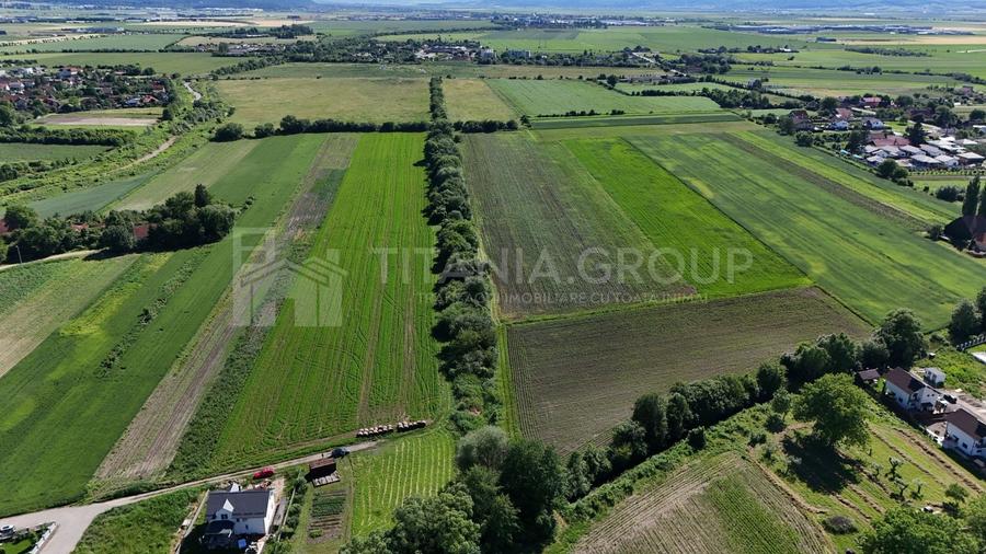 Teren Construcții intravilan de 33737 mp, în Stupini