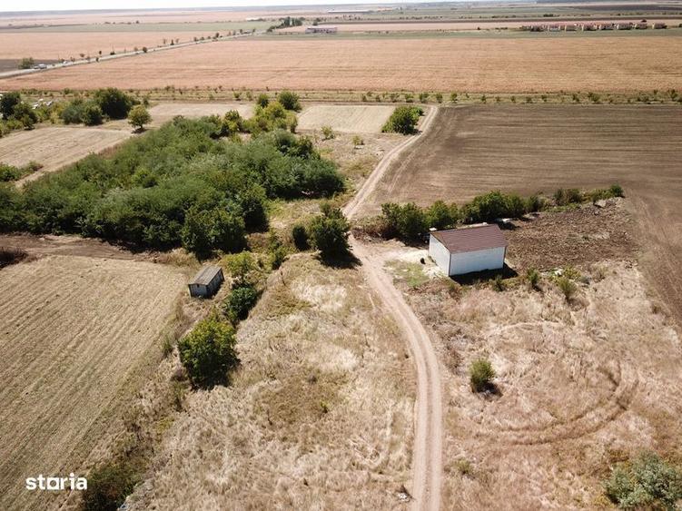 Lot de casa Lilieci - 4