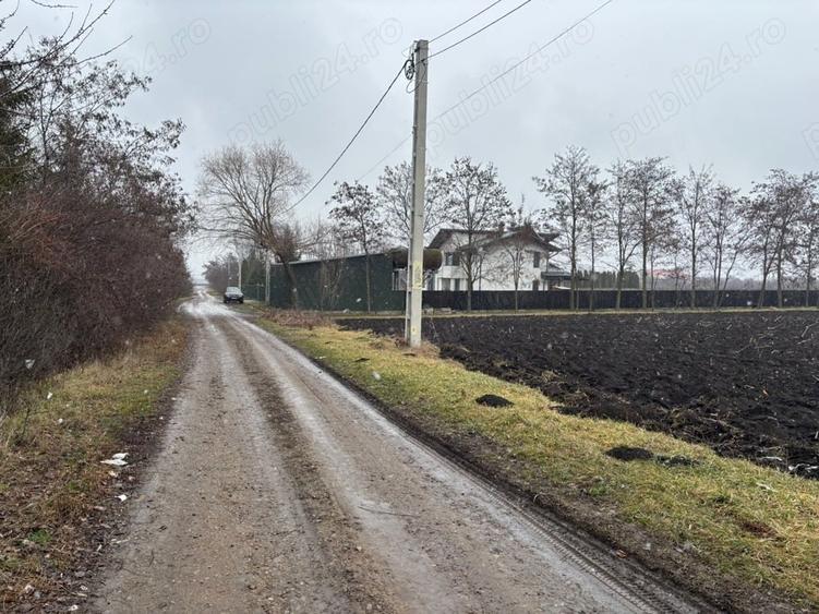 Teren de 15000 mp, în Saucenița