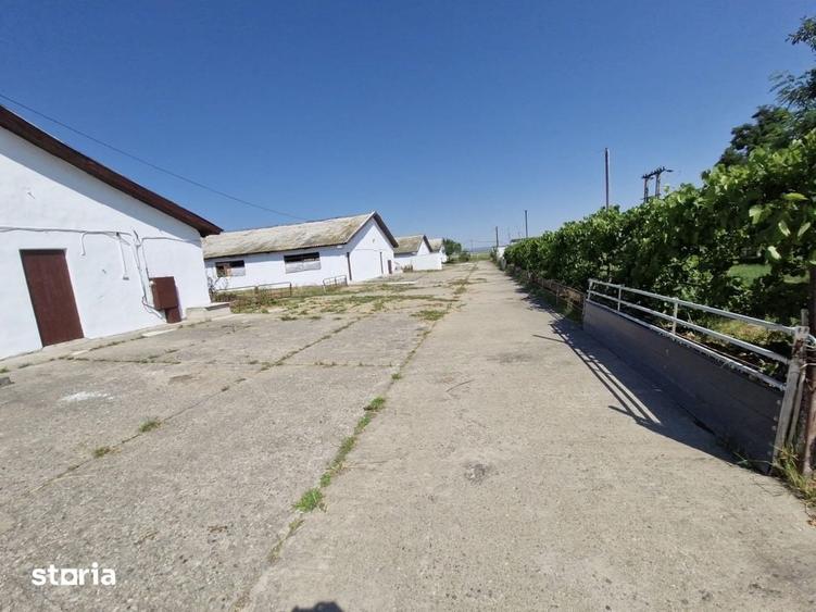 Spațiu comercial, de 6,000 mp, în Central