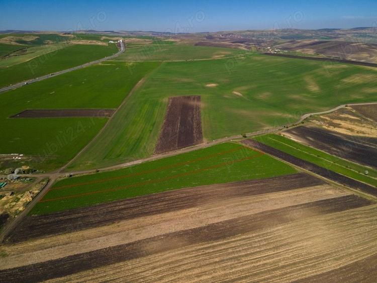 Teren de 8000 mp, în Copăceni