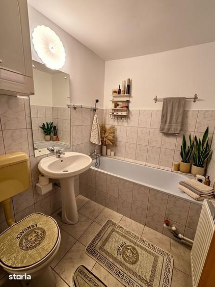 CASA COCHETA IN INIMA ORASULUI OVIDIU LANGA PRIMARIE - 12