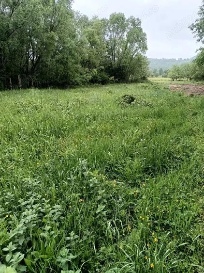 Teren de 1600 mp, în Fârdea