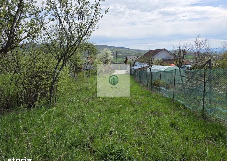 Teren agricol extravilan de 6704 mp, în Hărău