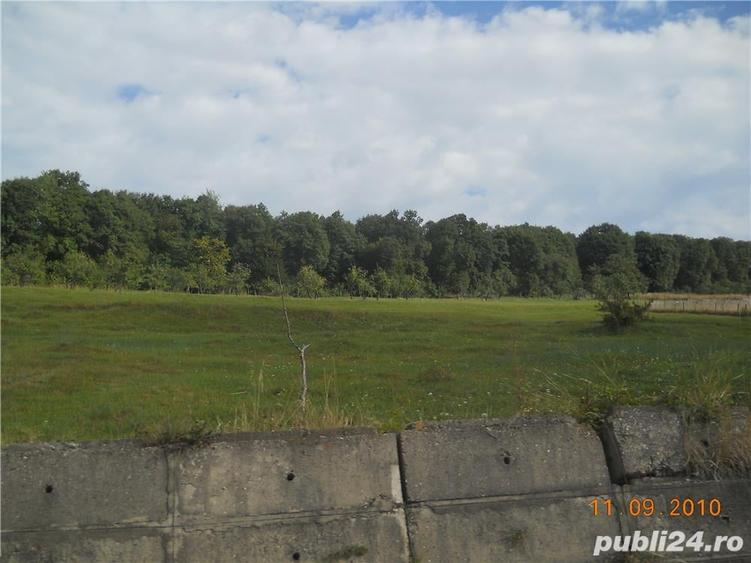 Teren de 55000 mp, în Slănic