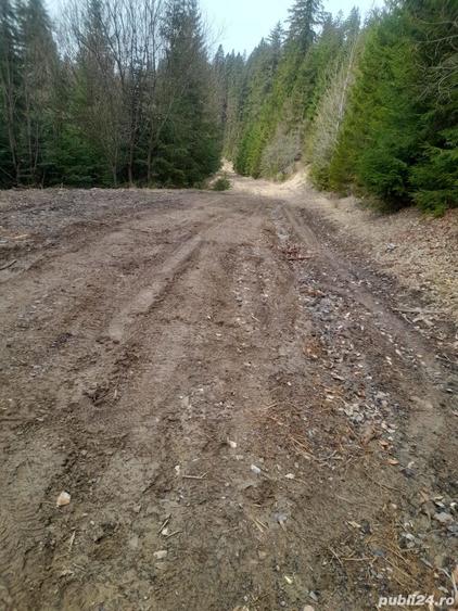 Teren de 4408 mp, în Dorna Candrenilor