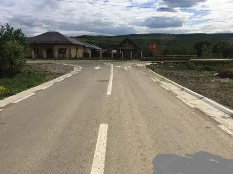 Teren de 5000 mp, în Chicerea