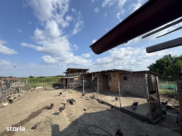 Casă cu 4 camere cu Teren 3000 Mp în Doba