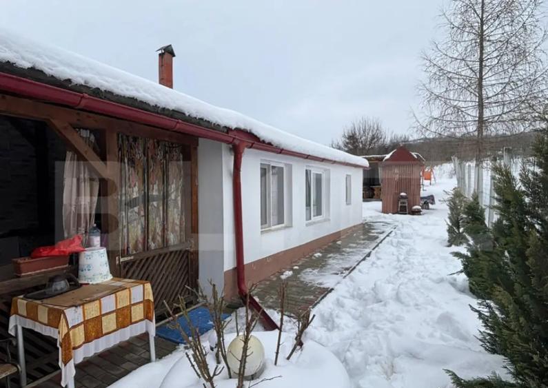 Casă cu 7 camere cu Teren 1300 Mp în Central